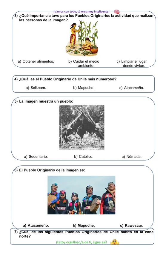 Prueba Pueblos Originarios de Chile, segundo básico. 