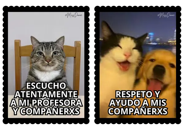 NORMAS PARA TU SALA DE CLASE VERSION 🤹MEMES🤹