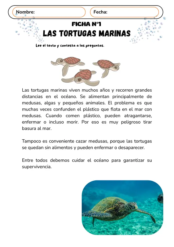 FICHAS DE COMPRESION LECTORA