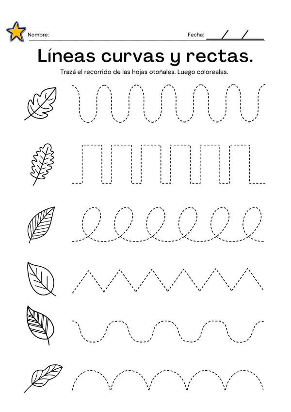 Lineas rectas y curvas.