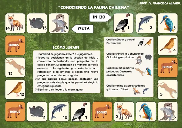 juego de mesa: conociendo la fauna chilena 