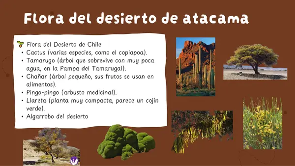 Ecosistemas de Chile Flora y Fauna