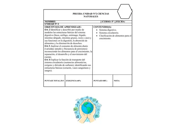 Prueba sistema digestivo, circulatorio y alimentación.