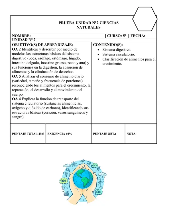 Prueba sistema digestivo, circulatorio y alimentación.