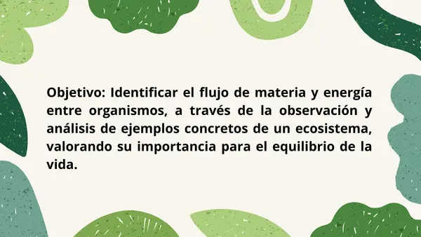 Flujo de materia y energía