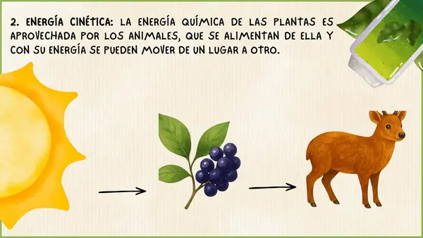 Unidad de energia 6° básico Leccion 1