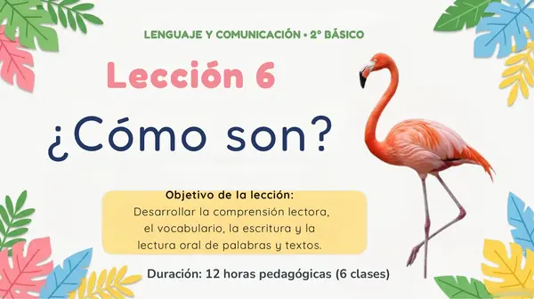 Lección 6 "¿Cómo son?" 2° Básico Leo Primero