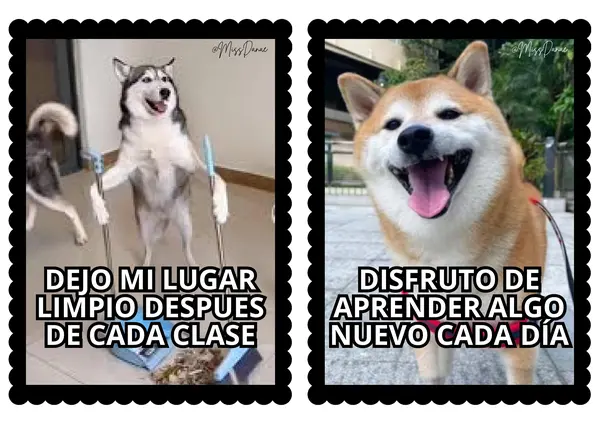 NORMAS PARA TU SALA DE CLASE VERSION 🤹MEMES🤹
