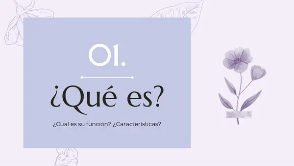 Ensayo argumentativo 