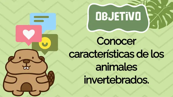 Animales invertebrados