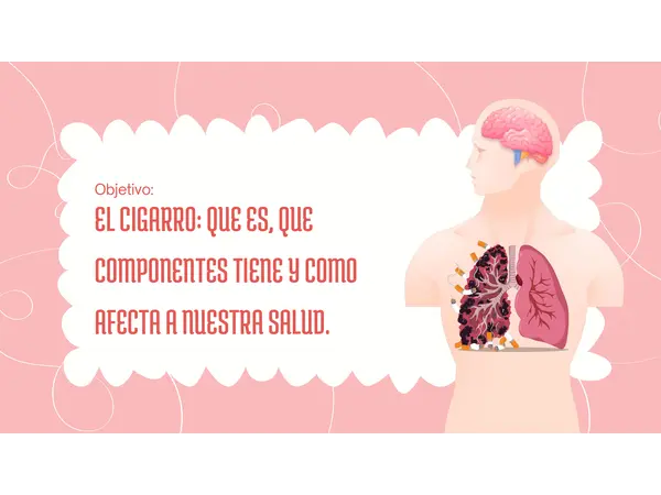 El cigarro y sus efectos en la salud