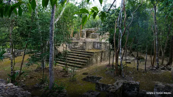Entorno geográfico de los mayas y aztecas