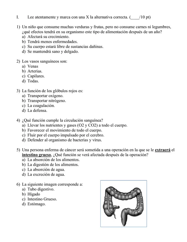 Prueba sistema digestivo, circulatorio y alimentación.