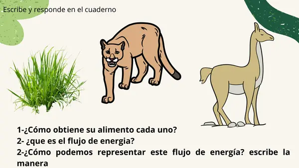 Flujo de materia y energía