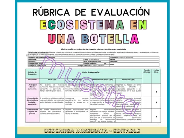 Rúbrica de Evaluación - Proyecto: Informe. Ecosistema en una botella. Unidad Nº4 Ciencias 4º Básico.