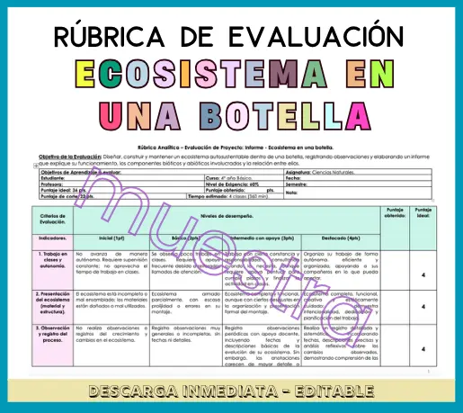 Rúbrica de Evaluación - Proyecto: Informe. Ecosistema en una botella. Unidad Nº4 Ciencias 4º Básico.