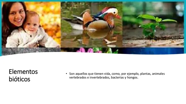 Ecosistemas