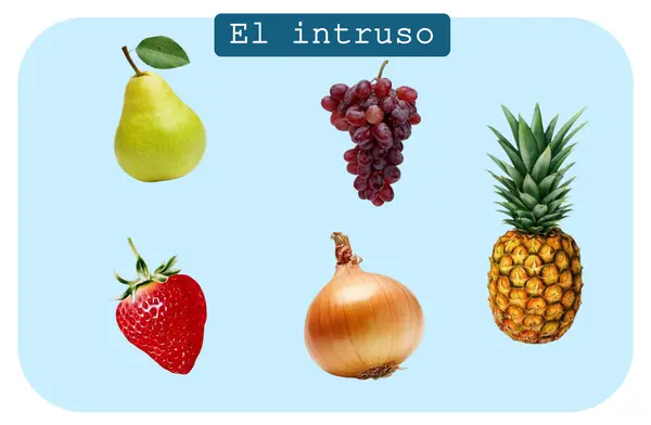 laminas  "El intruso" para trabajar elemento que no pertenece en una categoria 