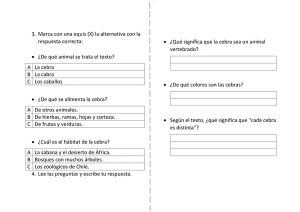 Comprensión lectora: La cebra (guía)
