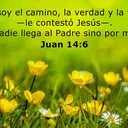 Lynda Katherine CAMPANO SALAS - @lynda.katherine.campa