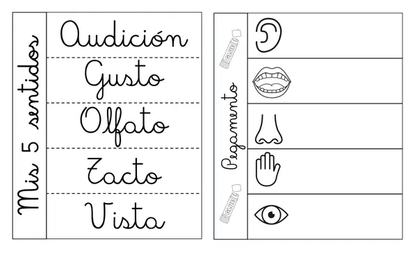 Mini libro de los sentidos