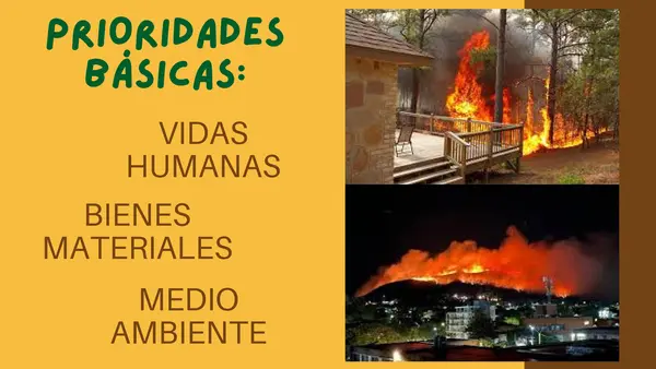Incendios Forestales