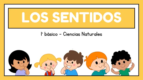 1° básico - Los sentidos