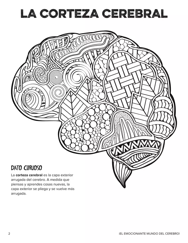 Libro para colorear "El emocionante mundo del cerebro"