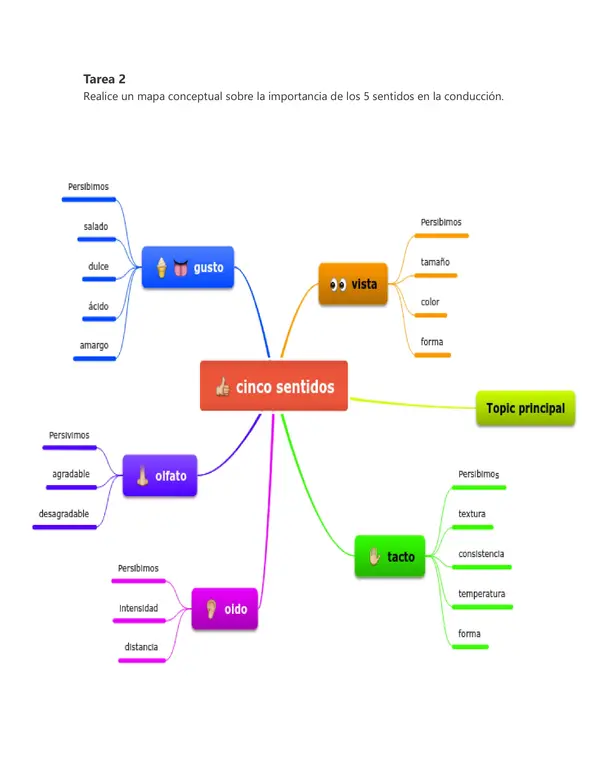 los 5 sentidos y conduccion