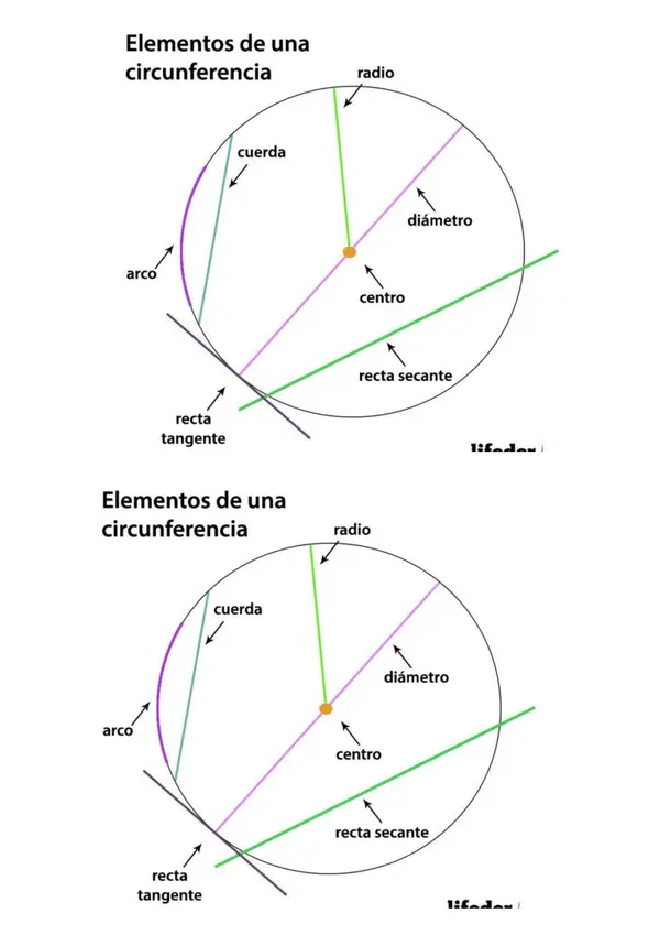 Elementos de la circunferencia