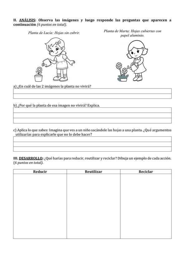 Evaluación cs naturales: las plantas (3° básico).