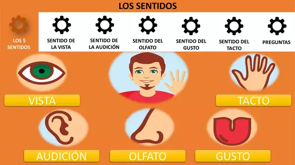 Los 5 sentidos, interactivo. | profe.social