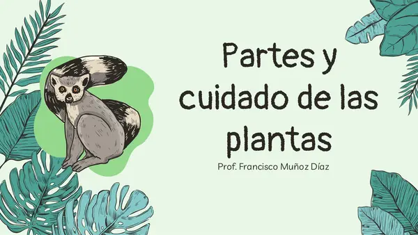 Partes y cuidado de plantas