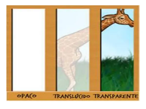 La luz: cuerpos transparentes, traslùcidos y opacos