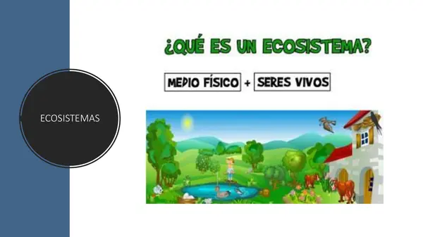 Ecosistemas