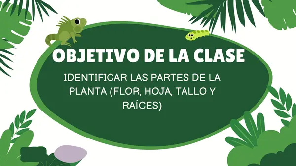 1ero básico Ciencias Naturales plantas