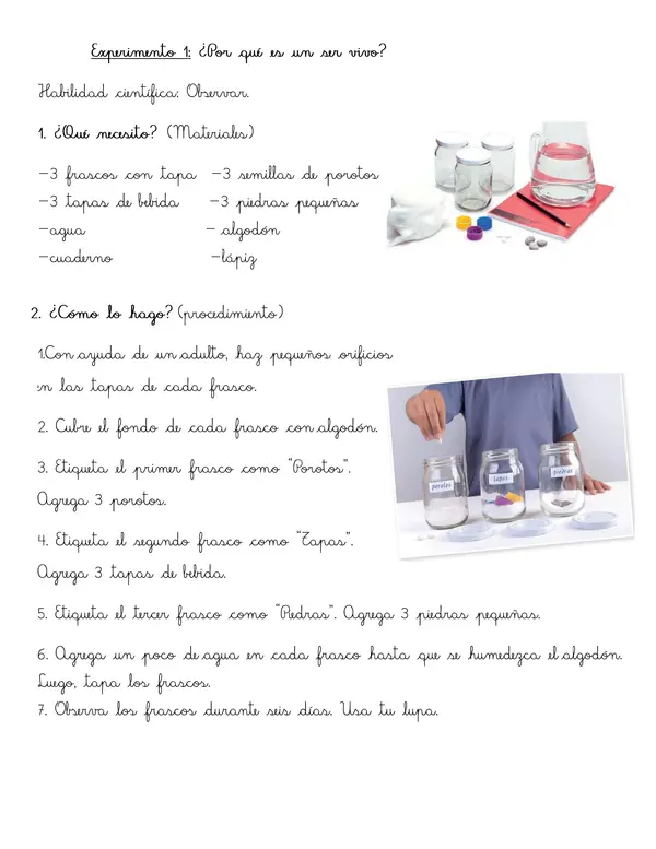 Actividades y experimentos 1° básico "Los animales son seres vivos"