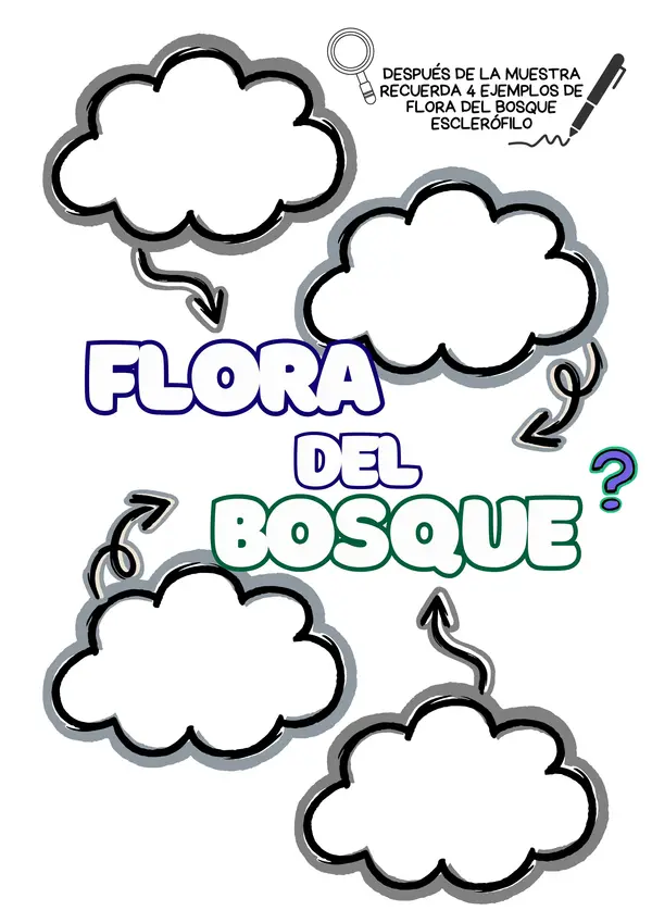 Animales y plantas de Chile: Proyecto bosque esclerófilo