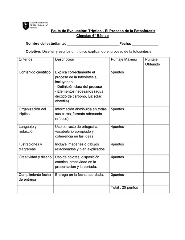 Pauta para evaluar triptico " Proceso de la fotosintesis" 6° Básico 