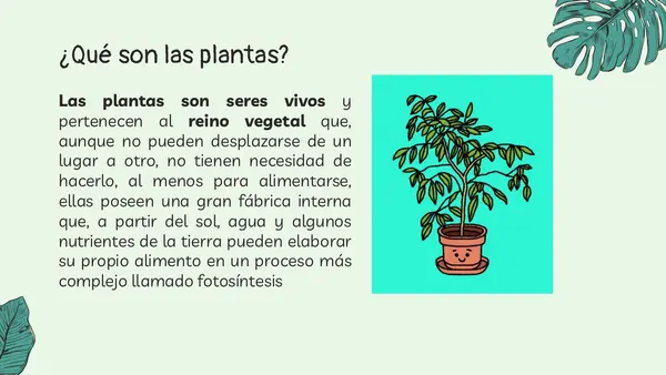 Partes y cuidado de plantas