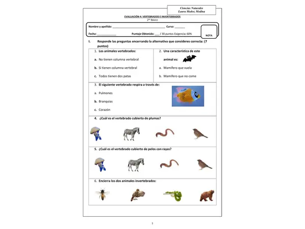 Evaluación de ciencias (vertebrados e invertebrados)