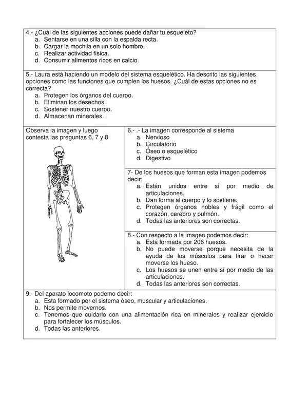 Evaluacion,  Ciencias Naturales Cuarto Basico, sistema Esqueletico con clase propuesta