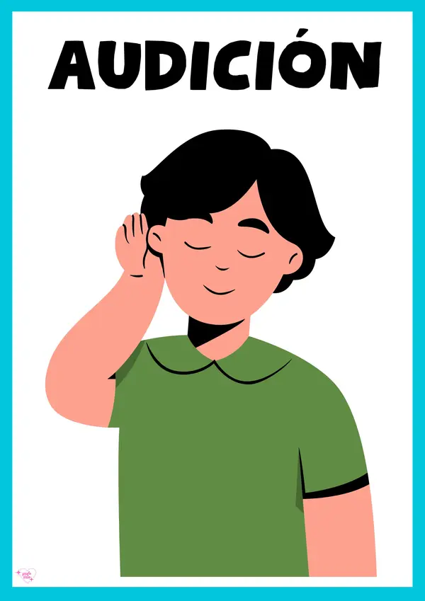 🧠 LOS SENTIDOS – Material visual para la sala
