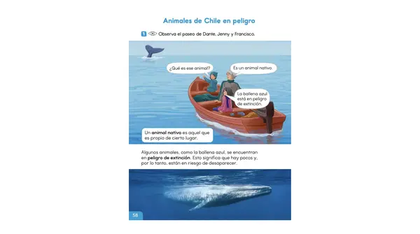 Clase 3 Lección 3 Unidad 2 "Animales de Chile en peligro" 2° Básico