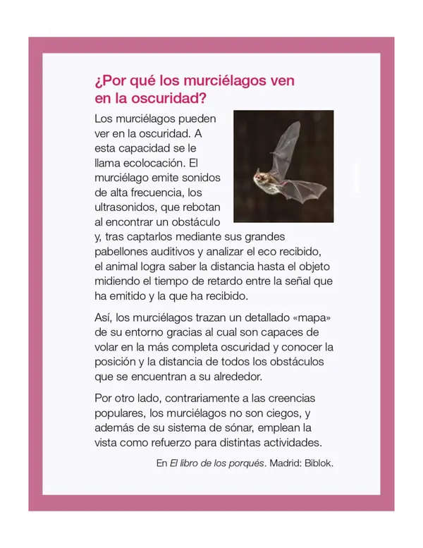 Comprensión lectora: Artículo informativo - ¿Por qué los murciélagos ven en la oscuridad?