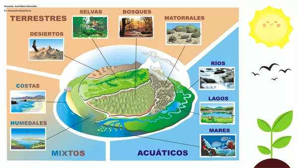 Ecosistemas de Chile