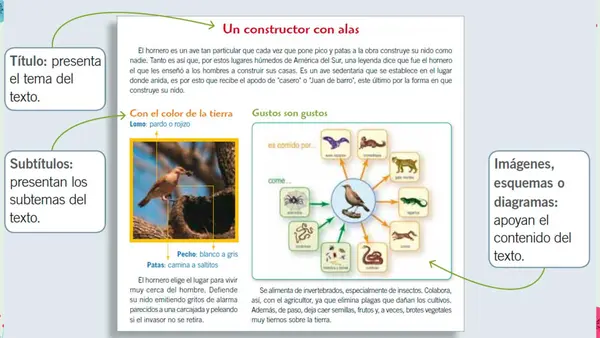 Artículo Informativo