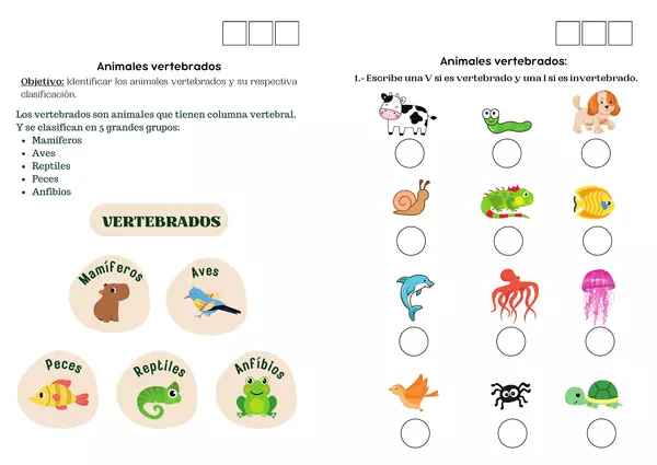 ANIMALES VERTEBRADOS - CLASIFICACIÓN | profe.social