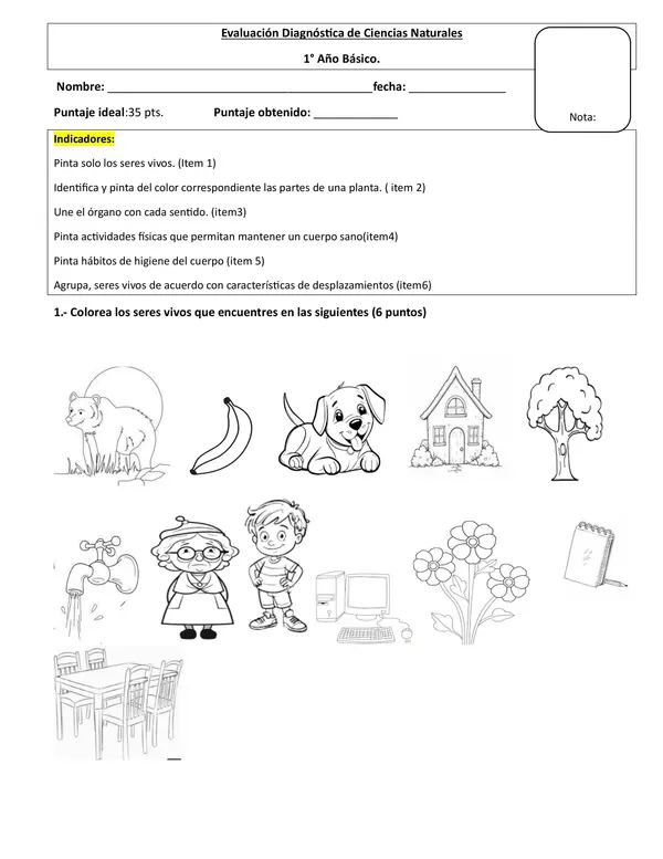 Evaluación Diagnóstica de Ciencias Naturales Primero Básico.