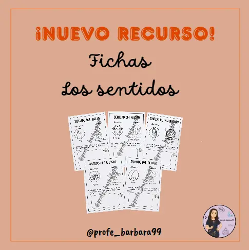 Fichas Los Sentidos